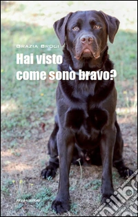 Hai visto come sono bravo? libro