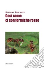 Così come ci son formiche rosse libro