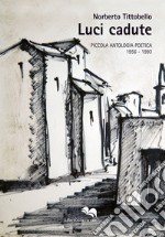 Luci cadute. Piccola antologia poetica 1956-1993