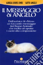 Il messaggio di Angelo libro