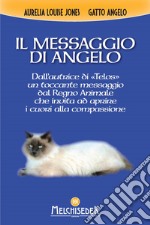Il messaggio di Angelo libro