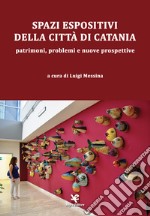 Spazi espositivi della città di Catania. Patrimoni, problemi e nuove prospettive libro