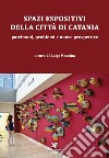 Spazi espositivi della città di Catania. Patrimoni, problemi e nuove prospettive libro