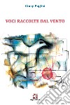 Voci raccolte dal vento libro di Puglisi Giusy