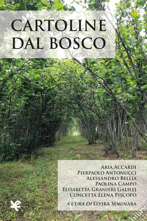Cartoline dal bosco