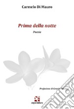 Prima della notte libro