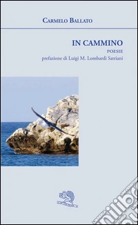 In cammino