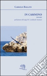 In cammino libro