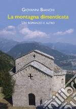 La montagna dimenticata. Un romanzo e altro libro