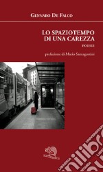 Lo spaziotempo di una carezza libro