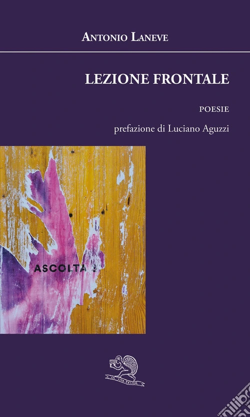 Lezione frontale