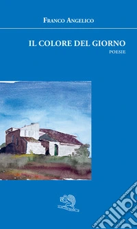 Il colore del giorno libro