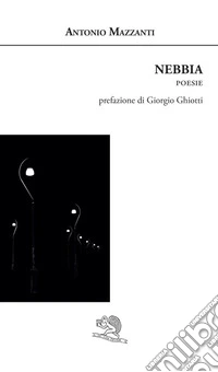 Nebbia libro