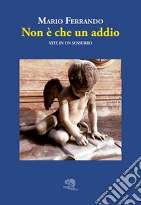 Non è che un addio. Vite in un sussurro libro