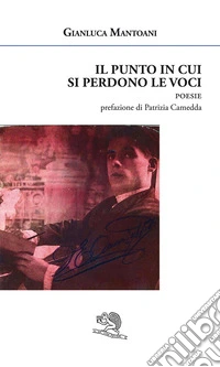 Il punto in cui si perdono le voci libro