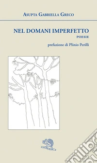 Nel domani imperfetto libro