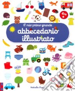 Il mio primo grande abbecedario illustrato. Ediz. a colori libro