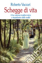 Schegge di vita. Una visione malinconica e trepidante della realtà libro