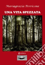 Una vita spezzata libro