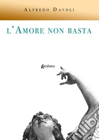 Amore non basta (L')