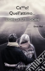 Ca**o! Quell'attimo.... Storie di tutti i giorni libro