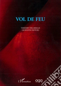 Vol de feu