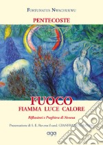 Pentecoste. Fuoco. Fiamma luce calore. Riflessioni e preghiera di Novena libro