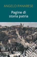 Pagine di storia patria libro