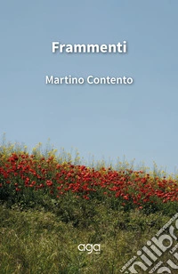 Frammenti libro