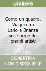 Como un quadro. Viaggio tra Lario e Brianza sulle orme dei grandi artisti libro