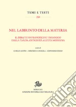 Nel labirinto della materia. Il dibattito filosofico e teologico dalla tarda antichità all'età moderna libro