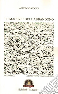 Le macerie dell'abbandono libro