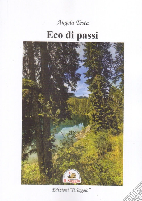 Eco di passi
