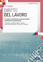 Diritto del lavoro. Teoria e test per la preparazione all'esame