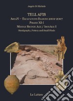 Tell Afis AreaN. Excavations Seasons 2001-2007. Phases XI-I. Middle Bronze Age. IronAge I. Stratigraphy, pottery and small finds