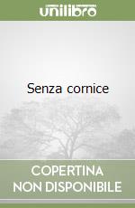 Senza cornice libro