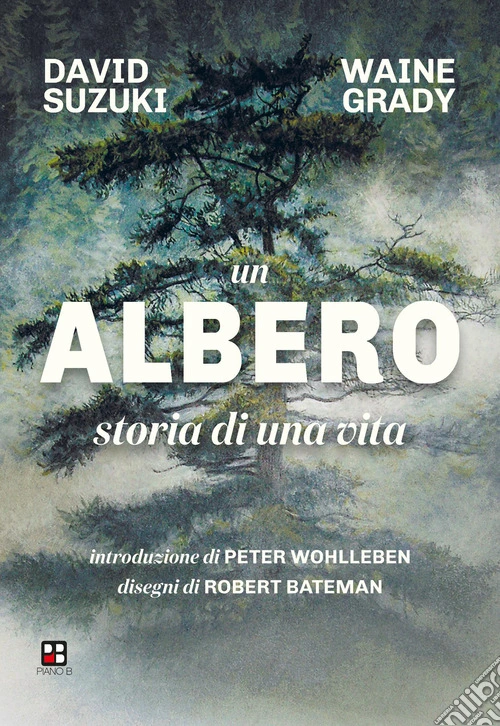 Un albero. Storia di una vita. Ediz. illustrata