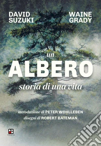 Un albero. Storia di una vita. Ediz. illustrata libro