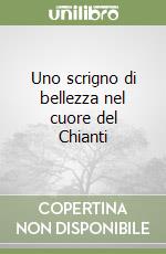 Uno scrigno di bellezza nel cuore del Chianti libro