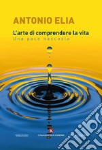 L'arte di comprendere la vita. Una pace nascosta libro