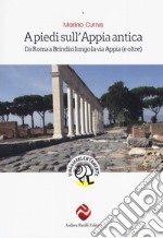 A piedi sull'Appia antica. Da Roma a Brindisi lungo la via Appia (e oltre) libro