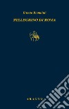 Pellegrino di Roma. La generazione dell'esodo libro