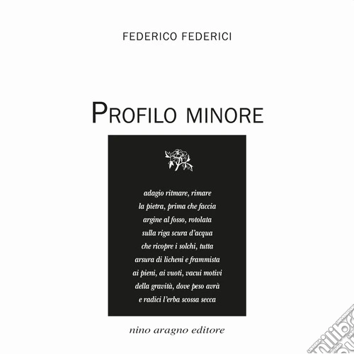 Profilo minore