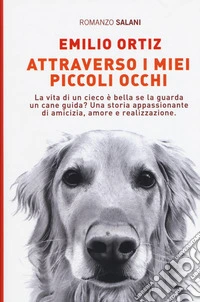 Attraverso i miei piccoli occhi libro