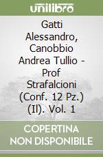 Gatti Alessandro, Canobbio Andrea Tullio - Prof Strafalcioni (Conf. 12 Pz.) (Il). Vol. 1 libro