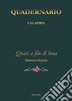 Quadernario Calabria. Quasi a filo di lana libro