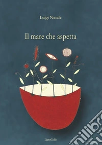 Il mare che aspetta libro