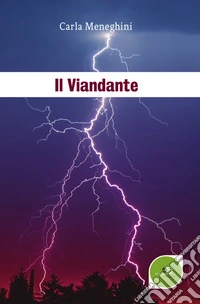 Il viandante libro