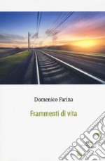 Frammenti di vita