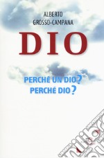 Dio. Perché un dio? Perché dio? libro